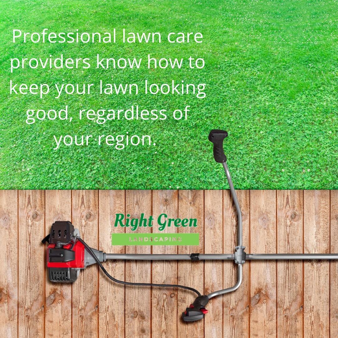 Lawn deals care providers