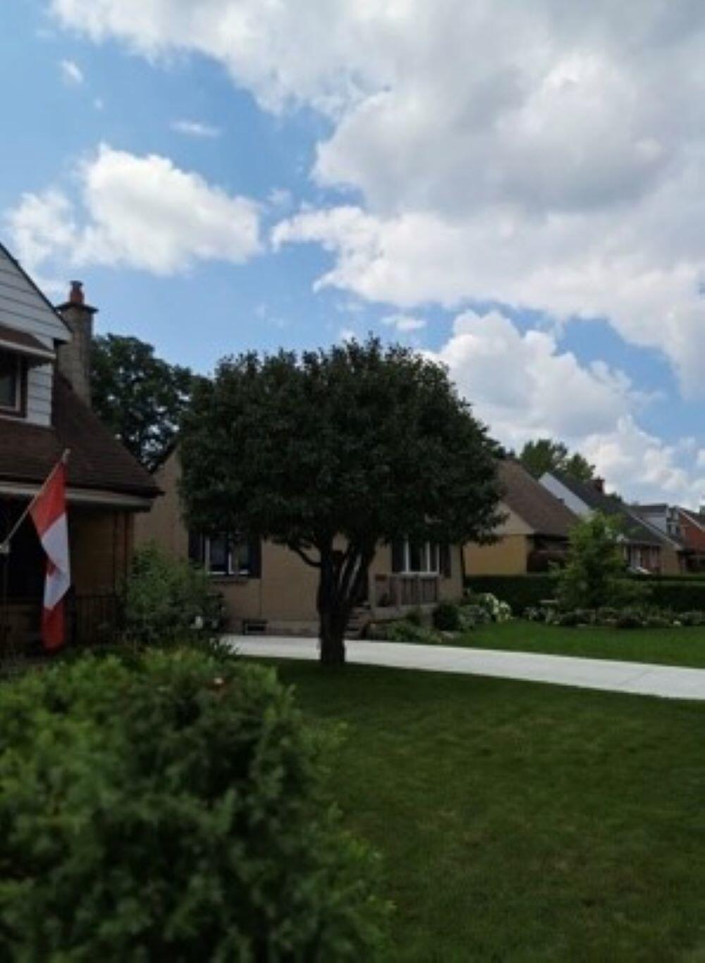 Big Dons Garden Tree Service London Nextdoor