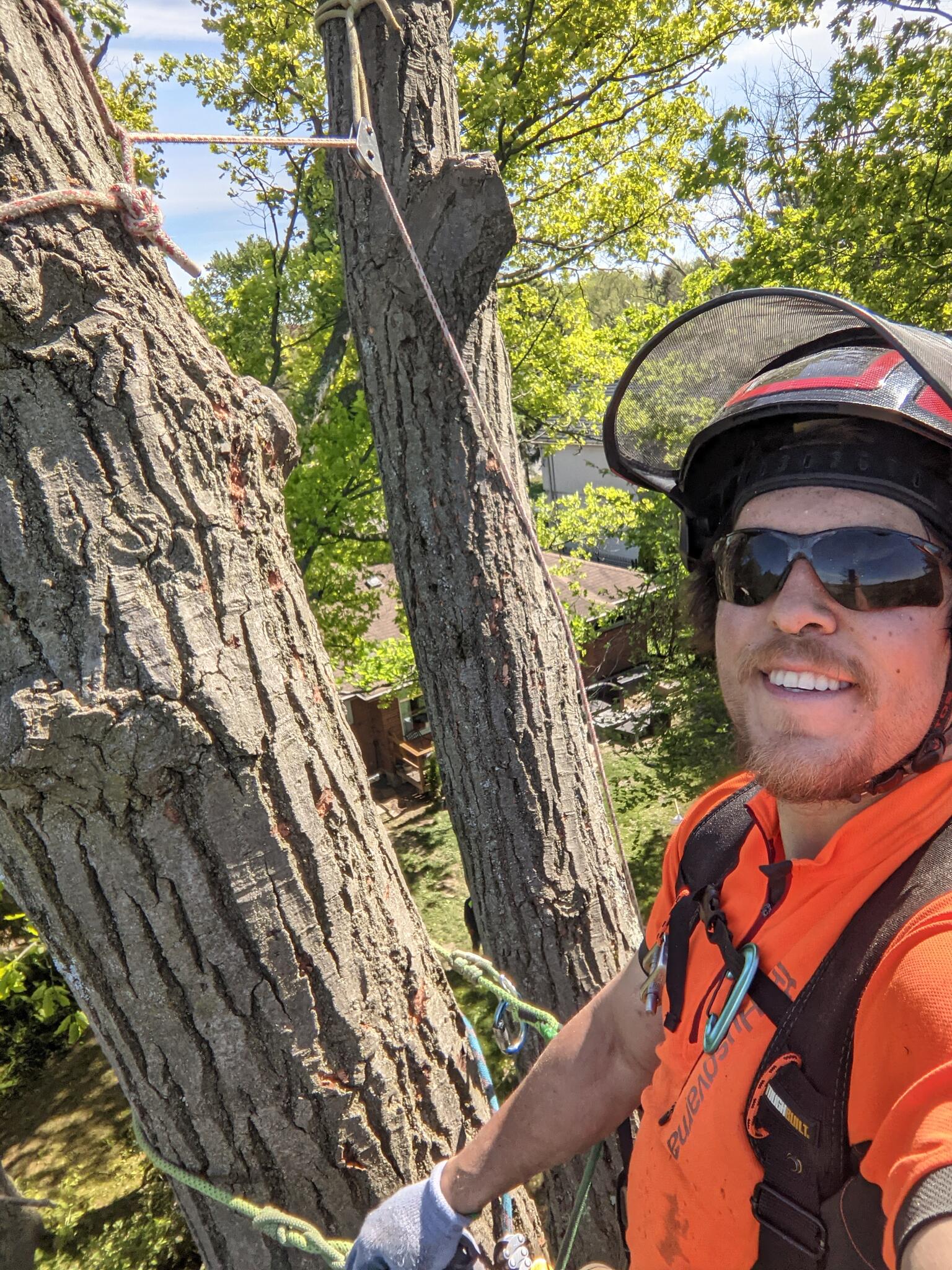 Twin Pines Tree Care Scarborough, CAON Nextdoor