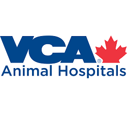 Vca lakeview hot sale animal hospital