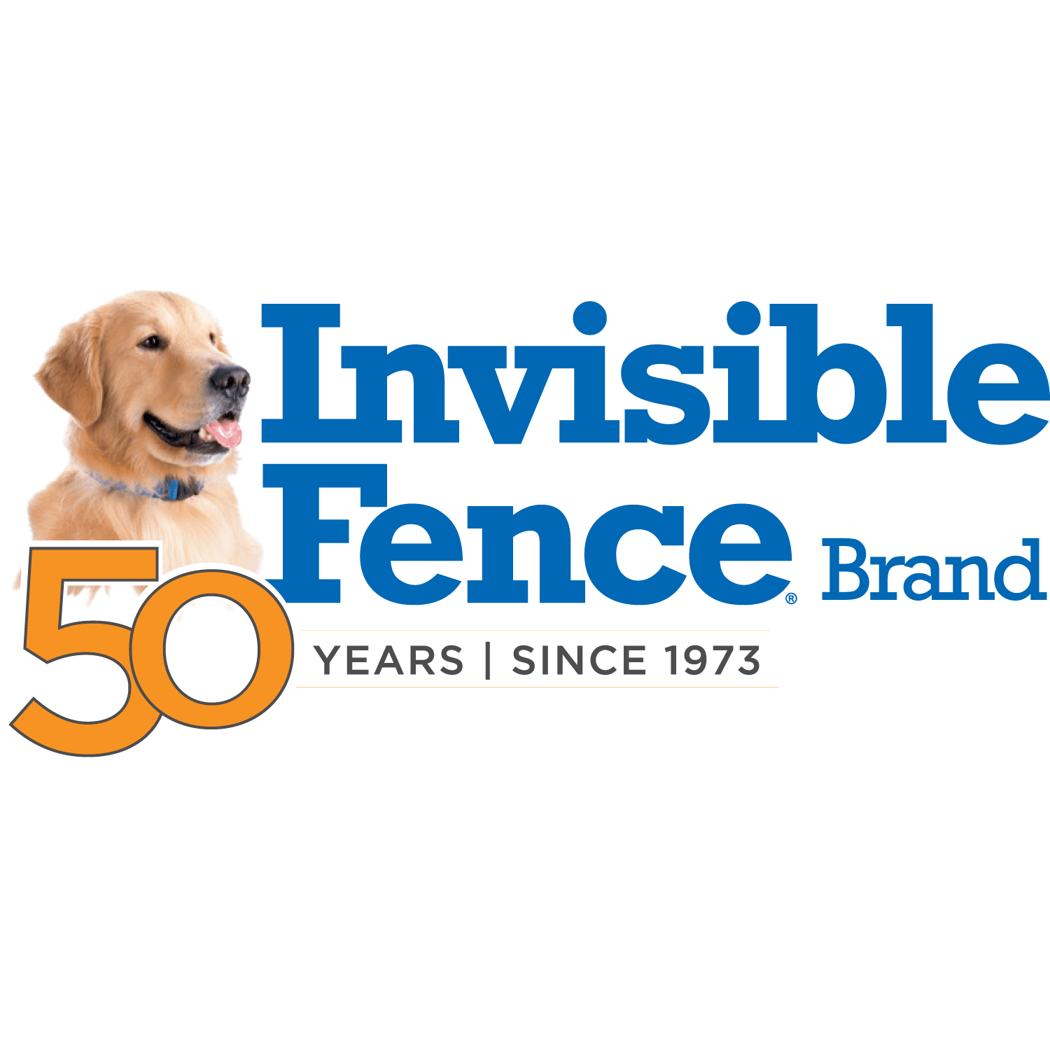 Invisible fence installation near me hotsell