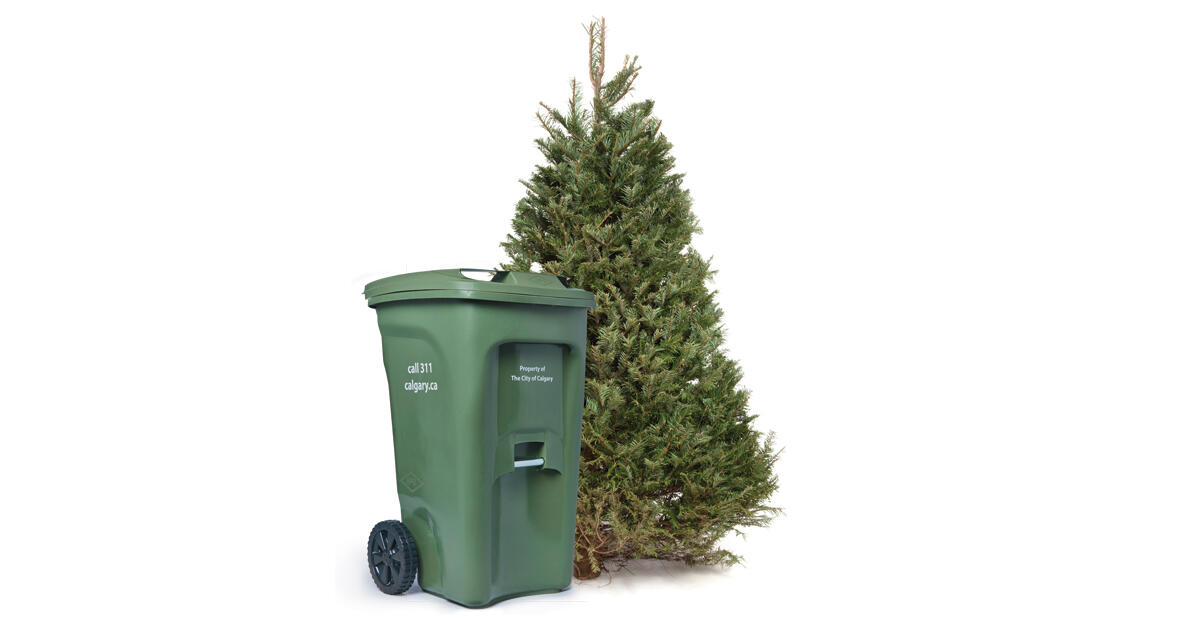 Compost your real Christmas tree using your green cart. — Nextdoor