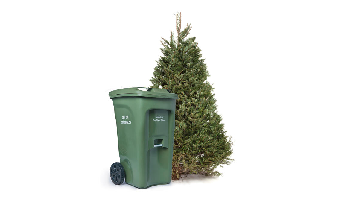 your real Christmas tree using your green cart. (City of